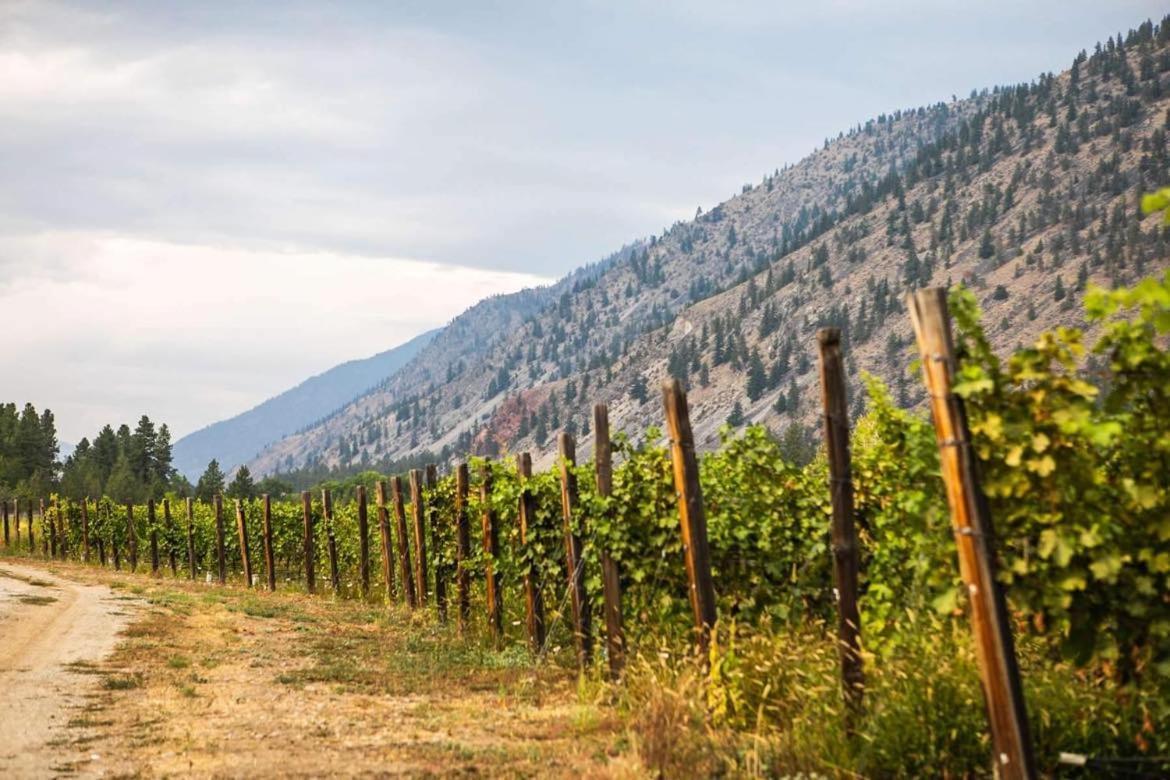 Similkameen Wild Resort & Winery Retreat Osoyoos Eksteriør bilde